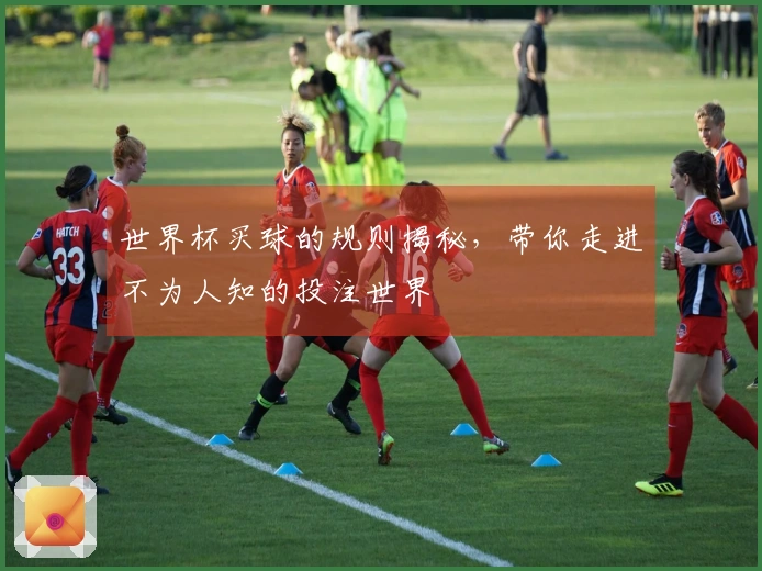 世界杯买球的规则揭秘，带你走进不为人知的投注世界