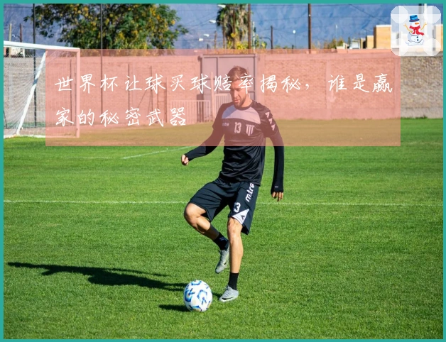 世界杯让球买球赔率揭秘，谁是赢家的秘密武器