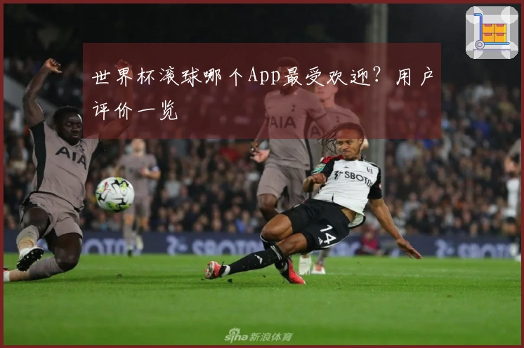 世界杯滚球哪个App最受欢迎？用户评价一览