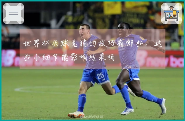 世界杯买球竞猜的技巧有哪些，这些小细节能影响结果吗