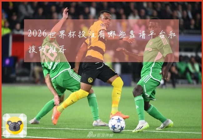 2026世界杯投注有哪些靠谱平台和技巧推荐