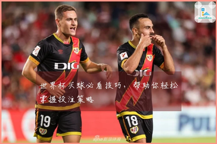 世界杯买球必看技巧，帮助你轻松掌握投注策略