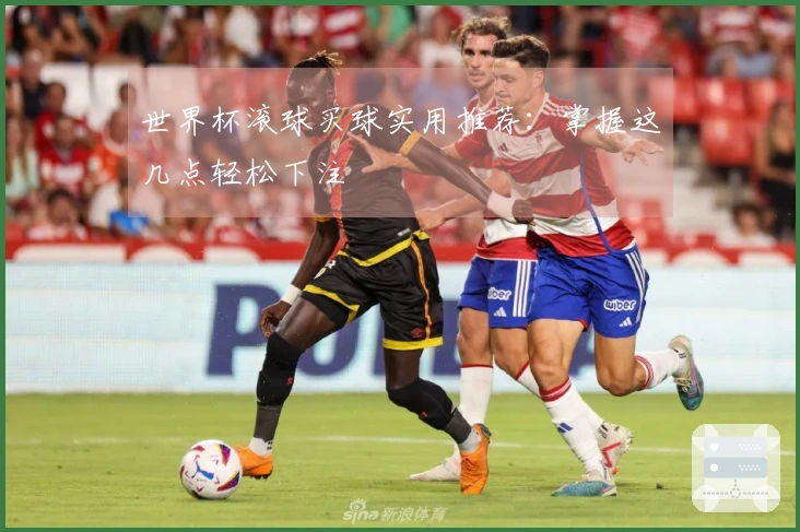 世界杯滚球买球实用推荐：掌握这几点轻松下注