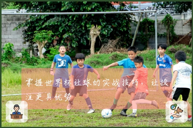 掌握世界杯让球的实战技巧，让投注更具优势