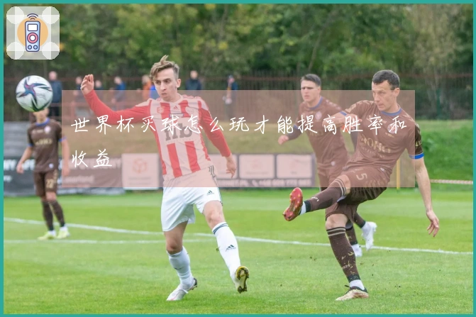 世界杯买球怎么玩才能提高胜率和收益