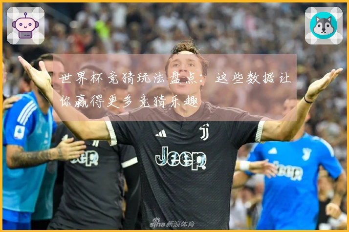 世界杯竞猜玩法盘点：这些数据让你赢得更多竞猜乐趣