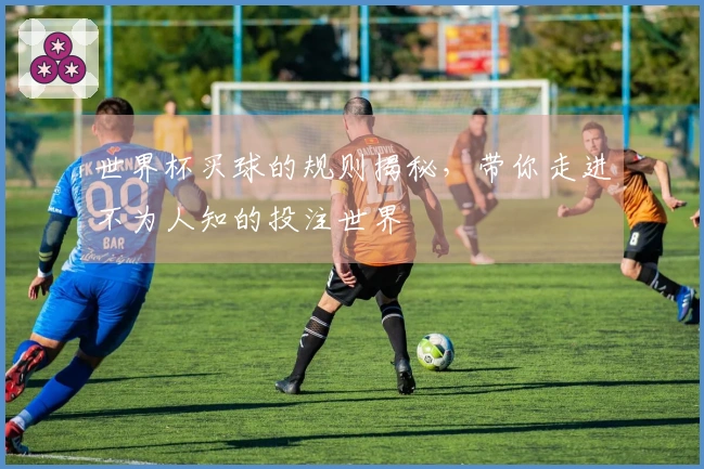 世界杯买球的规则揭秘，带你走进不为人知的投注世界