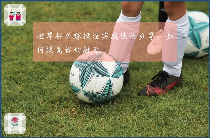世界杯买球投注实战技巧分享，如何提高你的胜率