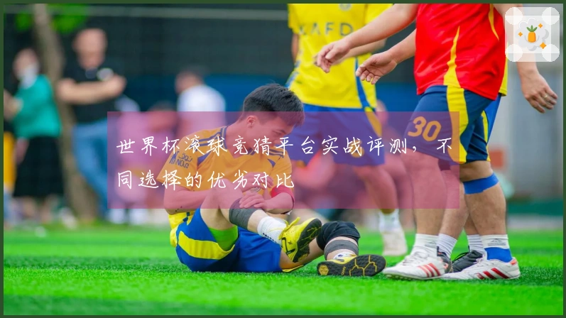 世界杯滚球竞猜平台实战评测，不同选择的优劣对比