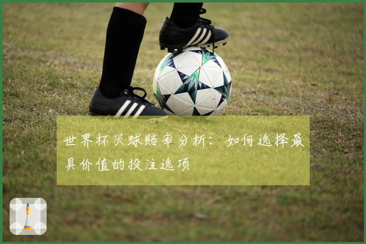 世界杯买球赔率分析：如何选择最具价值的投注选项