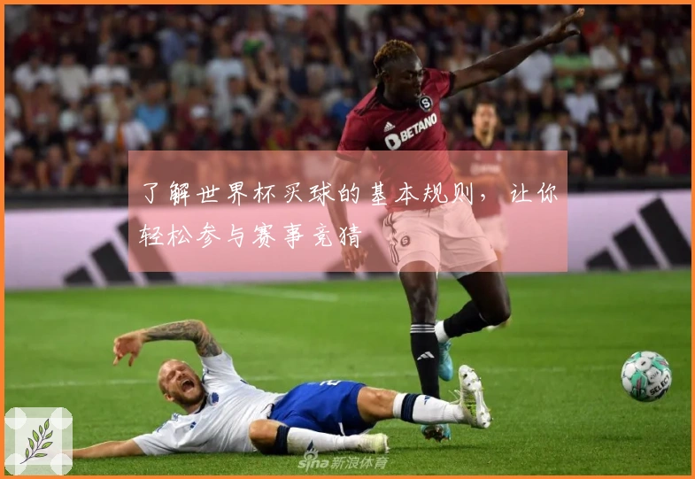 了解世界杯买球的基本规则，让你轻松参与赛事竞猜