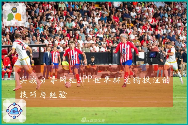 实战分享网红APP世界杯竞猜投注的技巧与经验