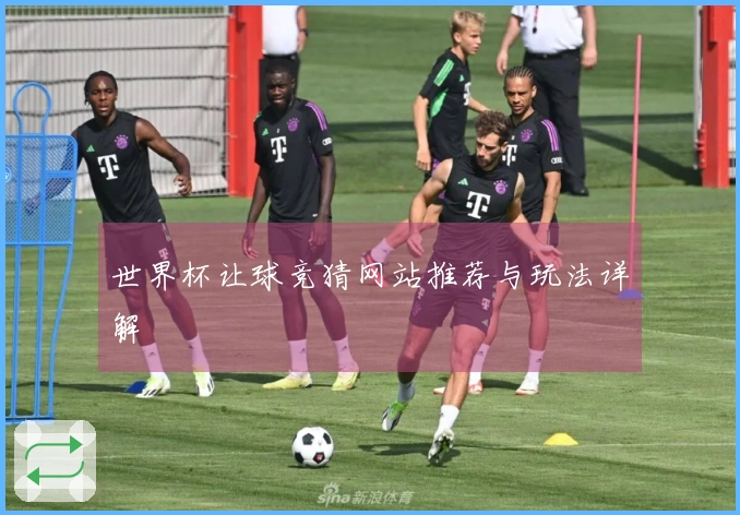 世界杯让球竞猜网站推荐与玩法详解