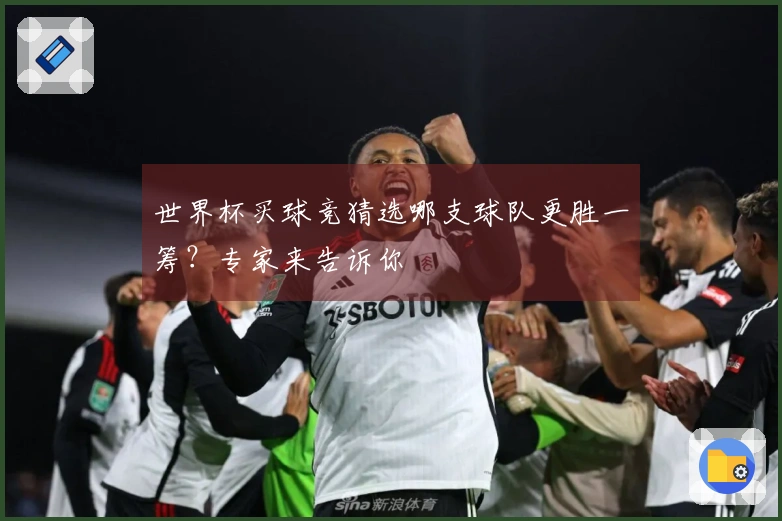 世界杯买球竞猜选哪支球队更胜一筹？专家来告诉你