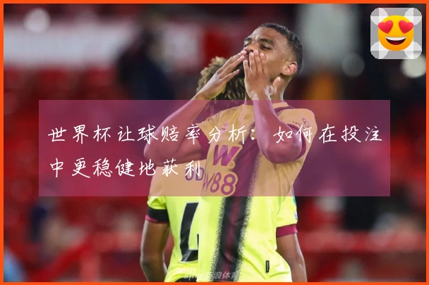 世界杯让球赔率分析：如何在投注中更稳健地获利